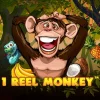 1 Reel Monkey