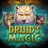 Druid’s Magic