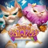 Cats of Olympuss