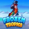 Frozen Tropics