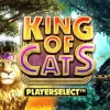 King of Cats