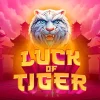 Luck of Tiger: Bonus Combo