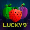 Lucky 9