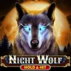 Night Wolf – Hold & Hit