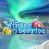 Winterberries