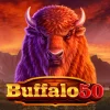 Buffalo 50