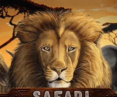 Safari