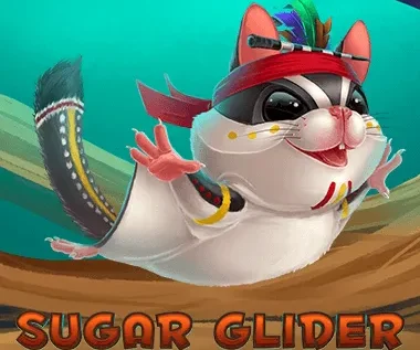 Sugar Glider