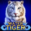 Water Tiger