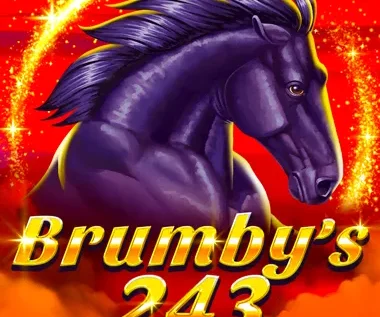 Brumby’s 243