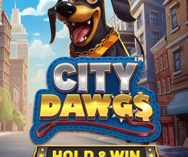 City Dawgs – Hold & Win