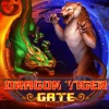 Dragon Tiger Gate