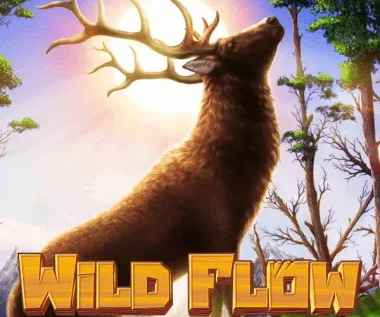 Wild Flow