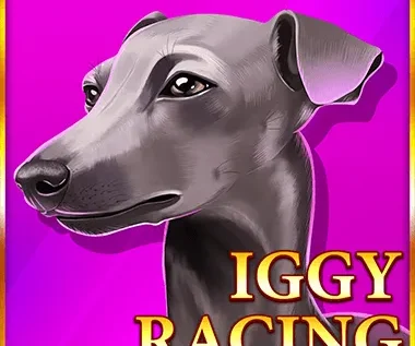 Iggy Racing