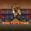 King Tut’s Tomb
