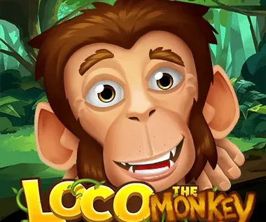 Loco the Monkey