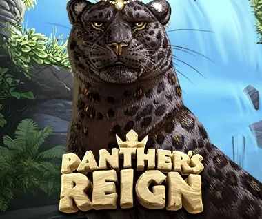 Panther’s Reign