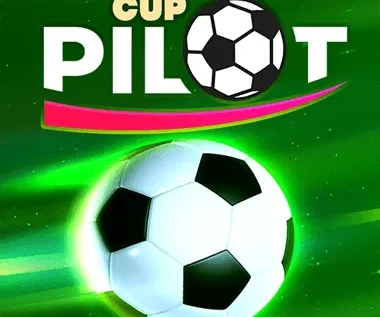Pilot Cup