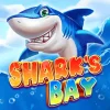 Shark’s Bay