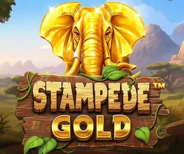 Stampede Gold