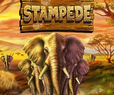 Stampede