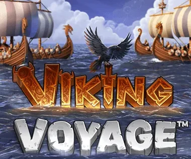 Viking Voyage