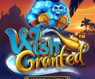Wish Granted