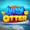 Lucky Otter