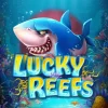 Lucky Reefs