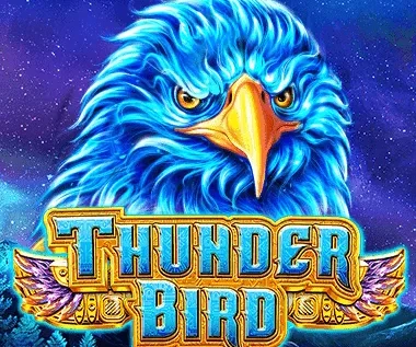 Thunder Bird