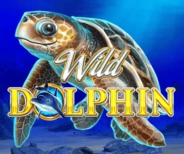 Wild Dolphin