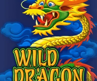 Wild Dragon