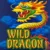 Wild Dragon