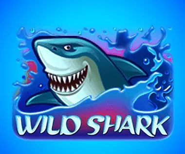 Wild Shark