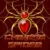 Chinese Spider
