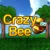 Crazy Bee