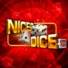 Nicer Dice 100