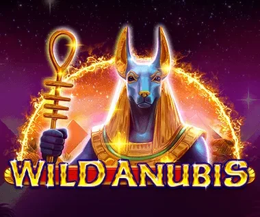 Wild Anubis